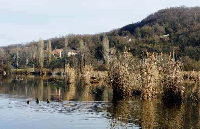 Nordic Walking al Lago di Fimon, Arcugnano Colli Berici Vicenza