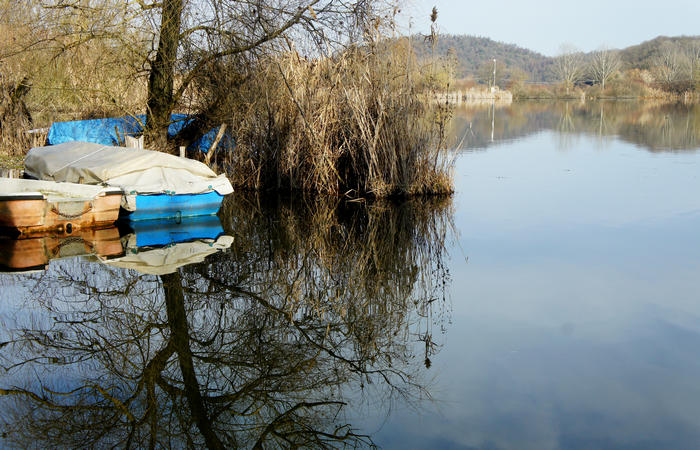 Nordic Walking al Lago di Fimon, Arcugnano Colli Berici Vicenza