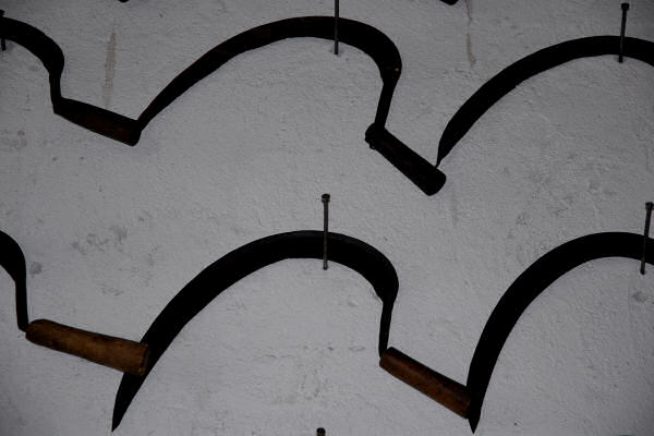 Museo della civilt&agrave; contadina a Grancona