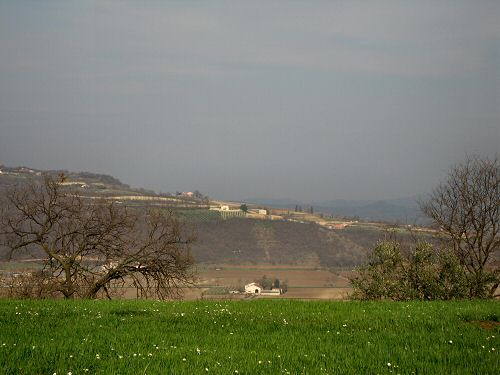Castello di Orgiano, Colli Berici