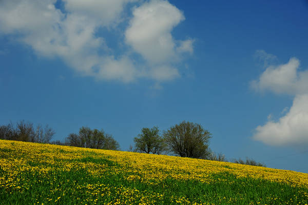 Orgiano, Botteghino-Monticello, Valle dei Mulini, Alonte