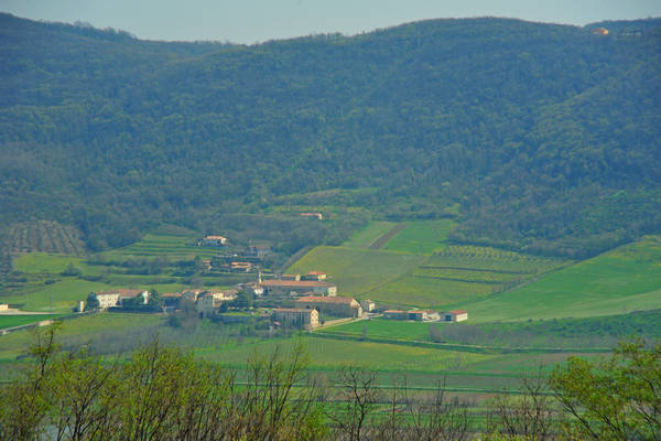 Orgiano, Botteghino-Monticello, Valle dei Mulini, Alonte