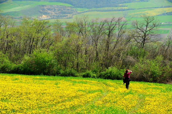 Orgiano, Botteghino-Monticello, Valle dei Mulini, Alonte