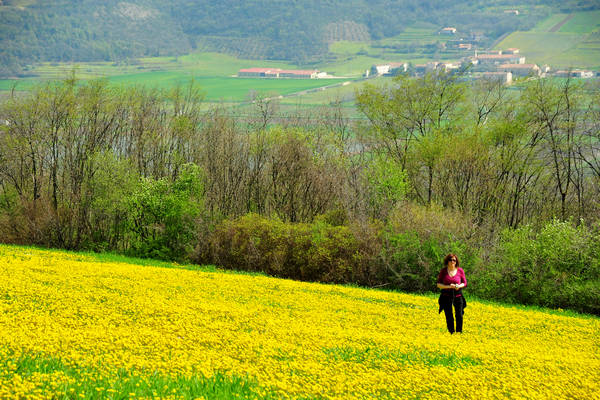 Orgiano, Botteghino-Monticello, Valle dei Mulini, Alonte