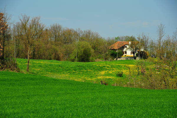 Orgiano, Botteghino-Monticello, Valle dei Mulini, Alonte