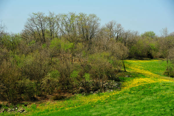 Orgiano, Botteghino-Monticello, Valle dei Mulini, Alonte
