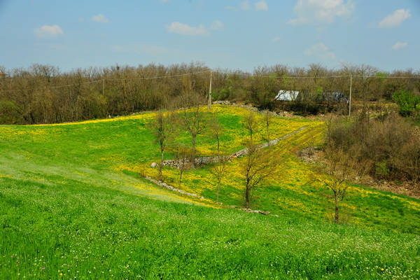 Orgiano, Botteghino-Monticello, Valle dei Mulini, Alonte