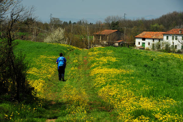 Orgiano, Botteghino-Monticello, Valle dei Mulini, Alonte