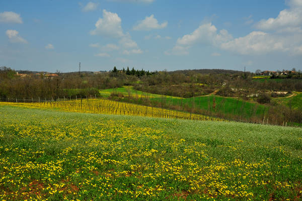 Orgiano, Botteghino-Monticello, Valle dei Mulini, Alonte