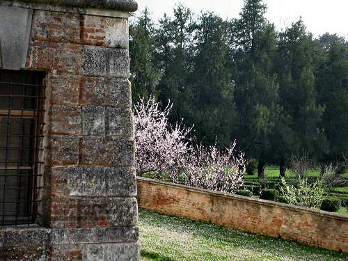 Villa Fracanzan Piovene a Orgiano nei Colli Berici