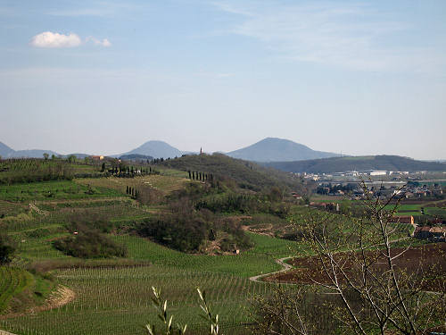 Riviera Berica - Strada dei Vini dei Colli Berici