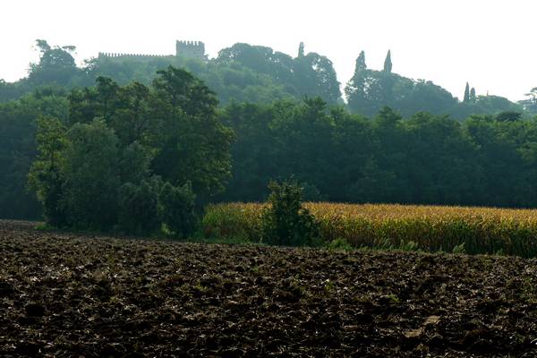 giro ciclistico nella campagna di Sarego, Meledo, Monticello di Fara, Lonigo