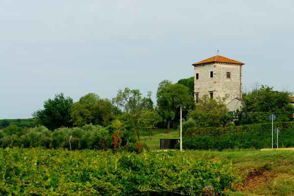 giro ciclistico nella campagna di Sarego, Meledo, Monticello di Fara, Lonigo