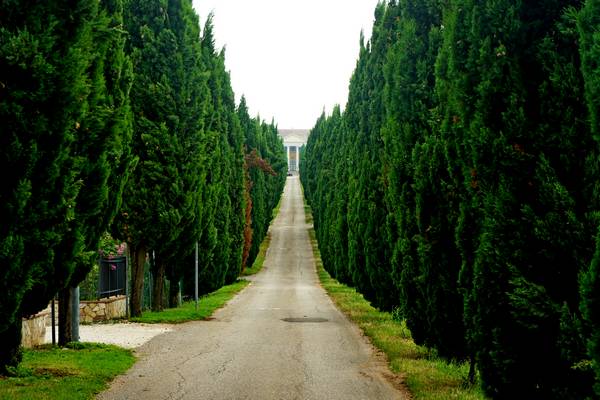 giro ciclistico nella campagna di Sarego, Meledo, Monticello di Fara, Lonigo