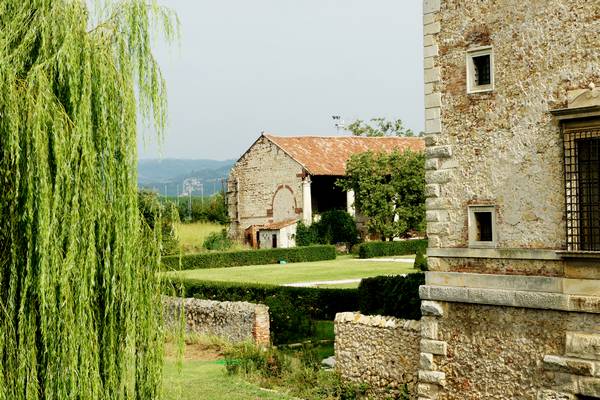giro ciclistico nella campagna di Sarego, Meledo, Monticello di Fara, Lonigo