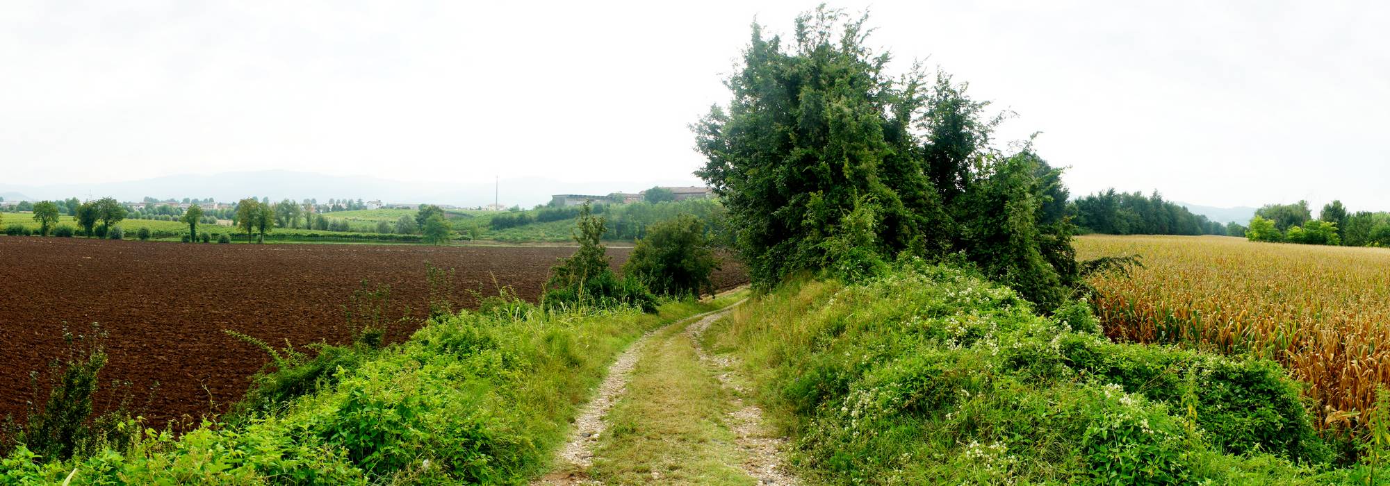 argine del fiume Guà a Meledo di Sarego