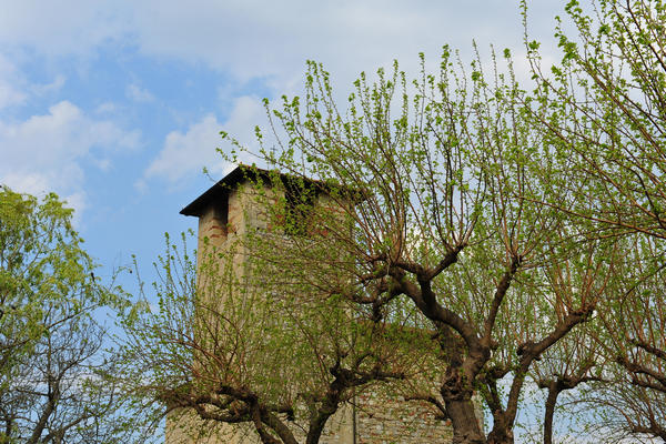 primavera nei colli di Sarego e Grancona, monti Berici occidentali settore Lonigo