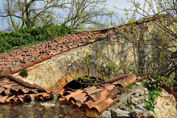 primavera nei colli di Sarego e Grancona, monti Berici occidentali settore Lonigo