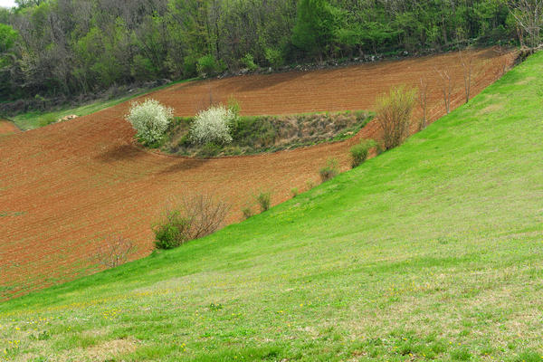 primavera nei colli di Sarego e Grancona, monti Berici occidentali settore Lonigo