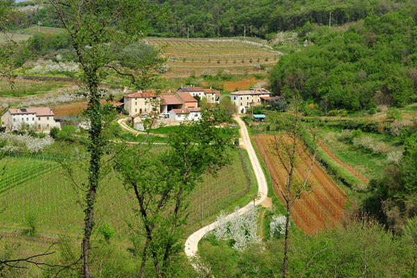 primavera nei colli di Sarego e Grancona, monti Berici occidentali settore Lonigo