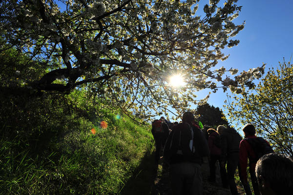 Sossano, Campolongo Val Liona, monte Cistorello, Riveselle Toara