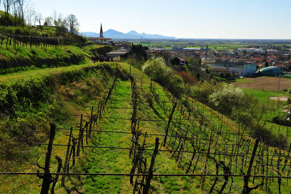 Sossano, Campolongo Val Liona, monte Cistorello, Riveselle Toara