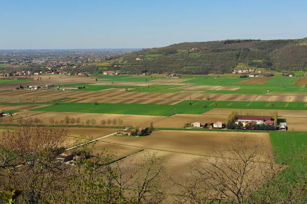 Sossano, Campolongo Val Liona, monte Cistorello, Riveselle Toara