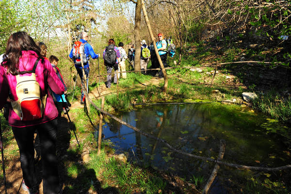 Sossano, Campolongo Val Liona, monte Cistorello, Riveselle Toara