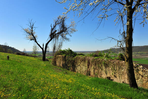 Sossano, Campolongo Val Liona, monte Cistorello, Riveselle Toara