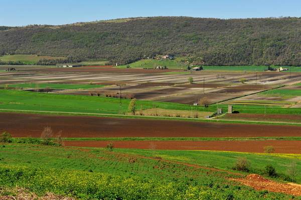 Sossano, Campolongo Val Liona, monte Cistorello, Riveselle Toara