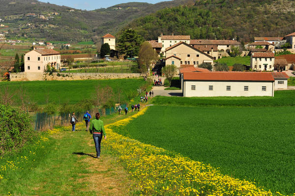 Sossano, Campolongo Val Liona, monte Cistorello, Riveselle Toara