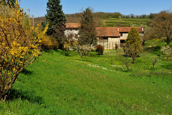 Sossano, Campolongo Val Liona, monte Cistorello, Riveselle Toara
