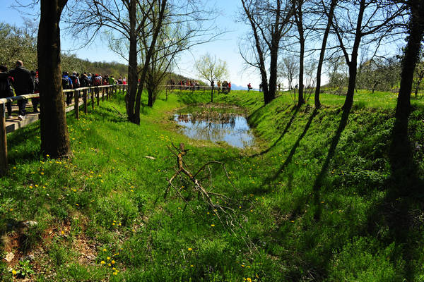 Sossano, Campolongo Val Liona, monte Cistorello, Riveselle Toara