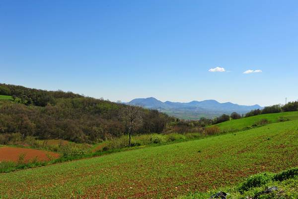 Sossano, Campolongo Val Liona, monte Cistorello, Riveselle Toara