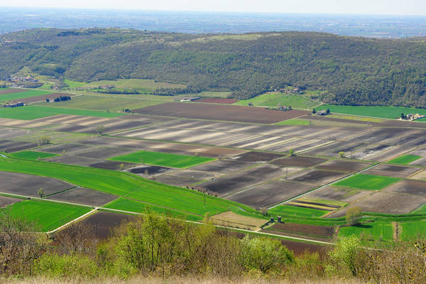 Sossano, Campolongo Val Liona, monte Cistorello, Riveselle Toara