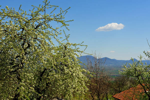 Sossano, Campolongo Val Liona, monte Cistorello, Riveselle Toara