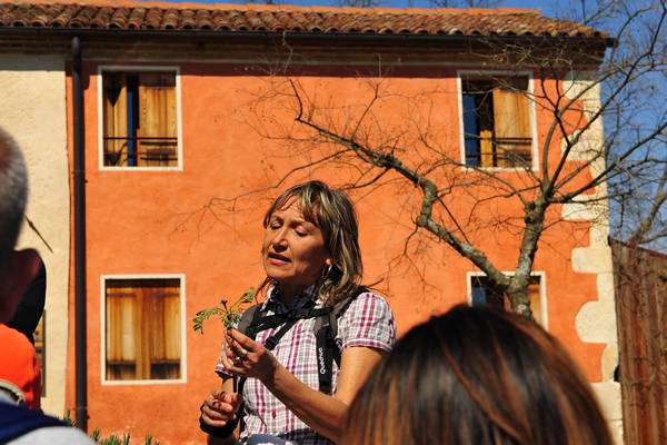 Sossano, Campolongo Val Liona, monte Cistorello, Riveselle Toara