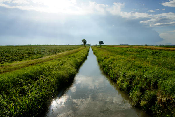 Padova, Monselice, Rovigo, Ferrara - Cammino Sant'Antonio