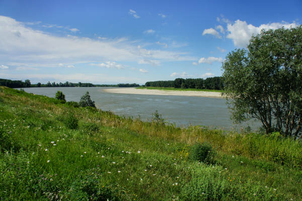 Padova, Monselice, Rovigo, Ferrara - Cammino Sant'Antonio