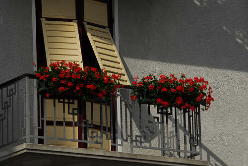 Cortina d Ampezzo e Dolomiti Ampezzane