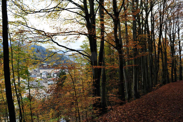 Pieve di Cadore, parco Roccolo monte Rico monte Castello