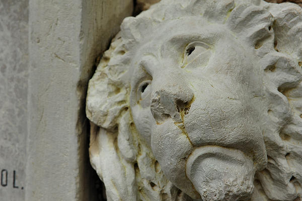 Leone di San Marco, Palazzo Magnifica Comunità a Pieve di Cadore