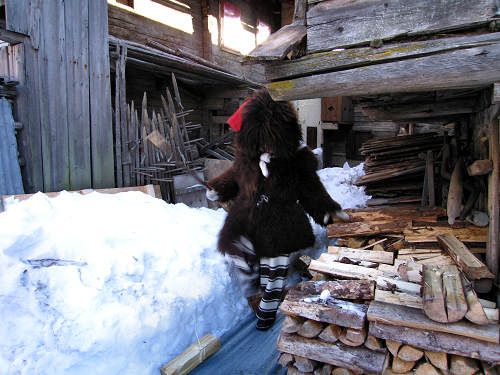 i Rollate del carnevale di Sappada