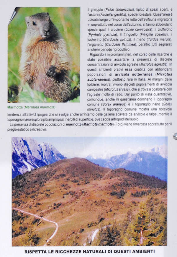 biotopo delle sorgenti del fiume Piave al passo Oregone, Sappada val Sesis e val Visdende