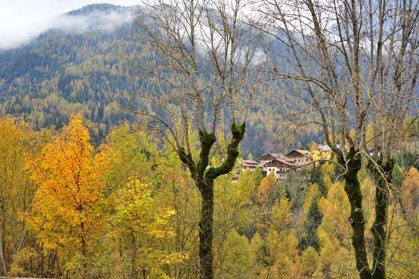 Valle di Cadore, Valboite