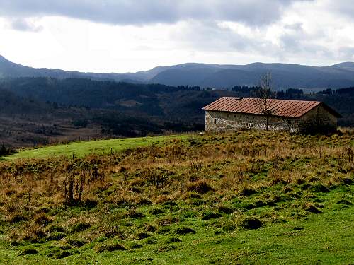 autunno in Valmenera nella Piana del Cansiglio