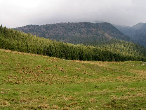 Valmenera. Pian di Landro, Baldassarre - riserva naturale