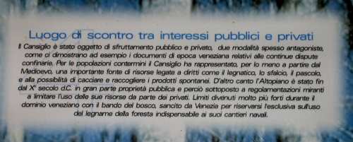 Pian Cansiglio - Foresta del Cansiglio