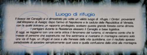 Pian Cansiglio - Foresta del Cansiglio