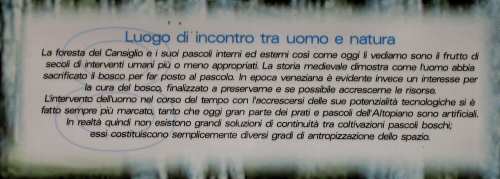 Pian Cansiglio - Foresta del Cansiglio